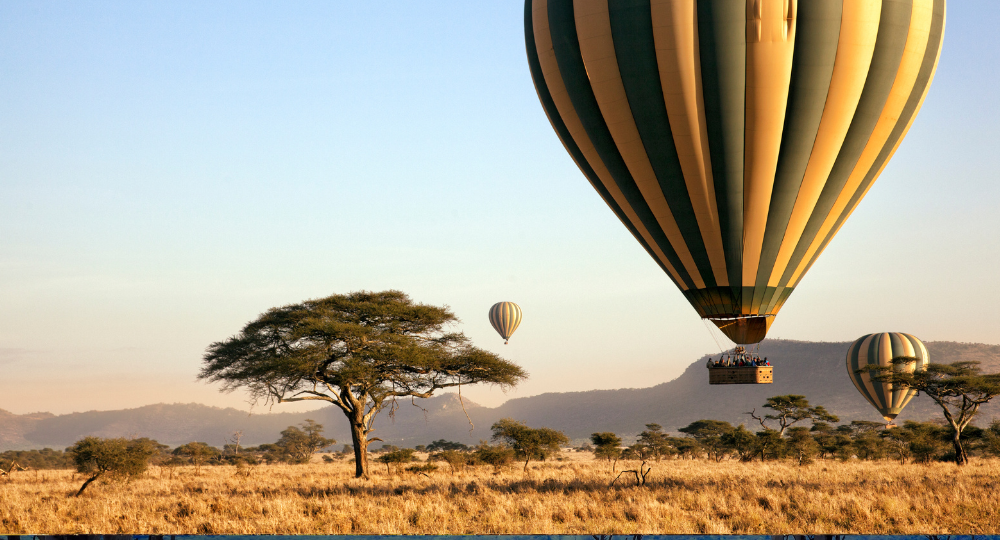 Day 7 – Full-Day Safari in Serengeti