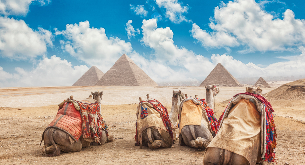 Day 1 – Arrival in Cairo