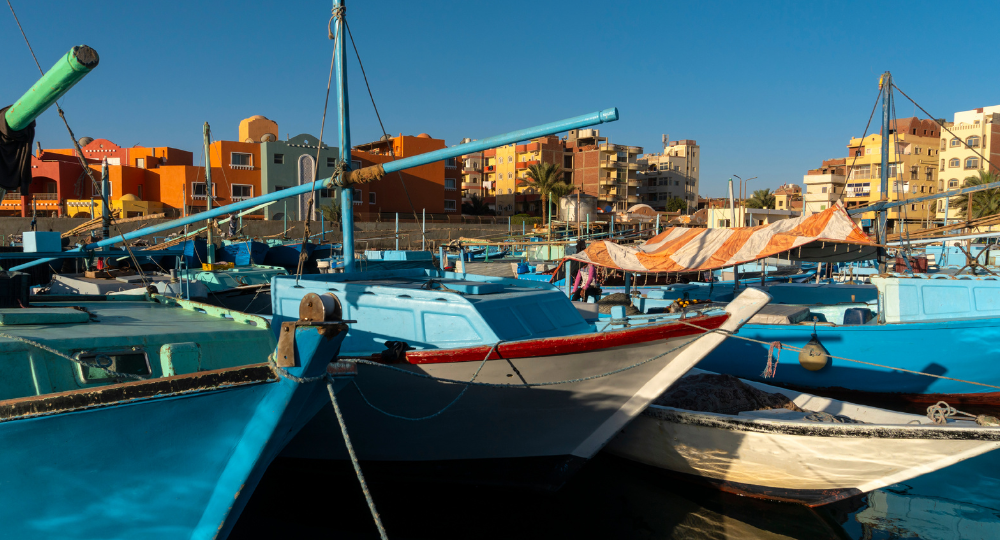Day 8 – West Bank Tour & Departure