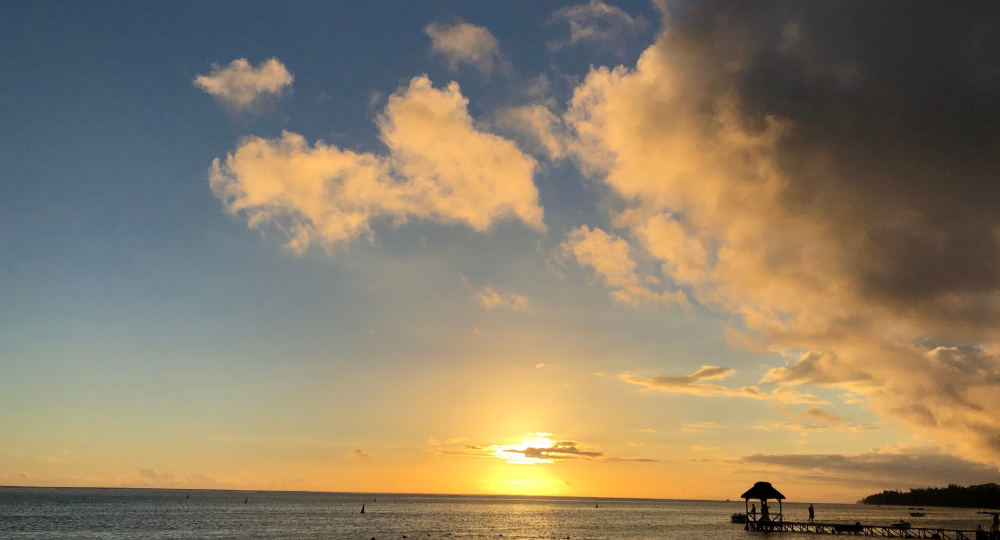 Day 2 – North Island Tour – Port Louis & Botanical Garden
