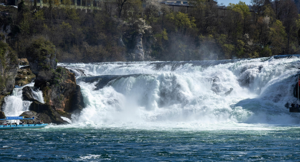 Day 6 – Mercedes-Benz Museum, Black Forest & Rhine Falls