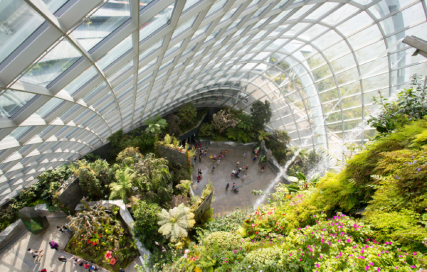 5 Days Singapore Tour Package
