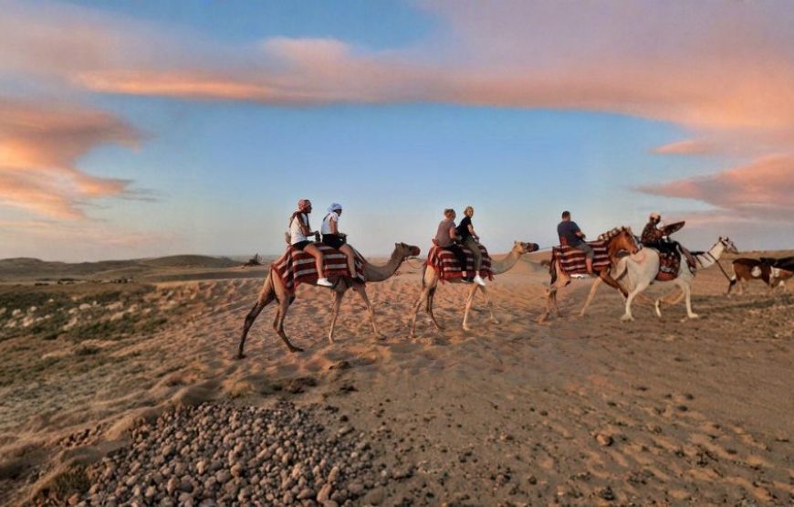 Saudi Sands & Sea Retreat