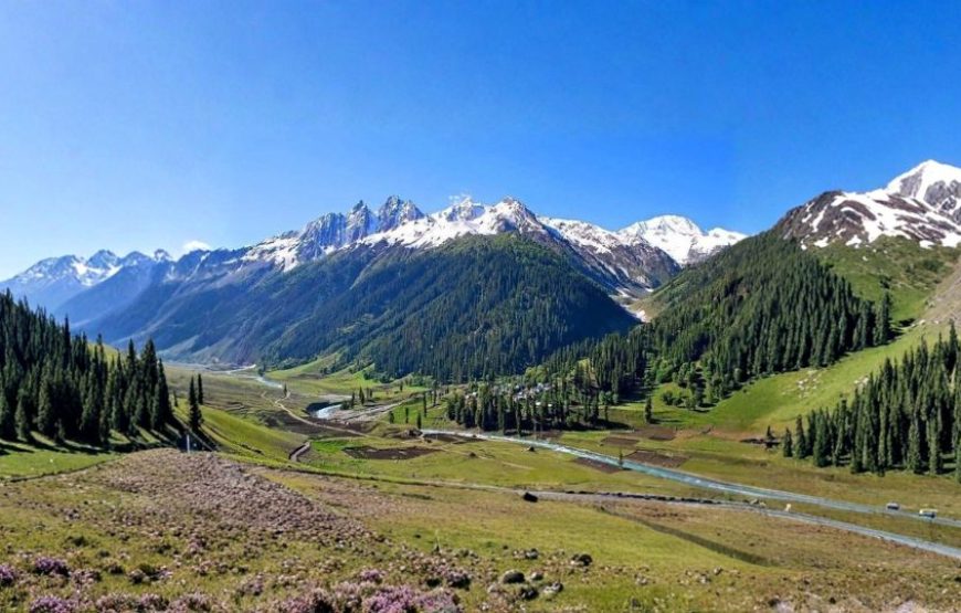 Kashmir Nature Break