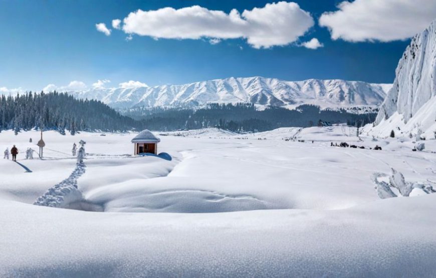 Kashmir Nature Break