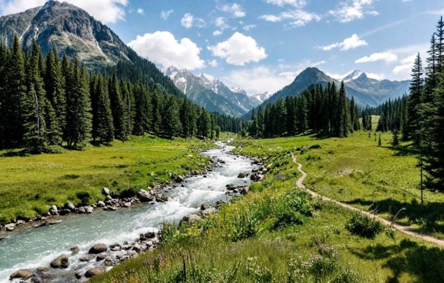 Feel Alive in Kashmir in Summer – 5 Nights / 6 Days Premium Tour Package