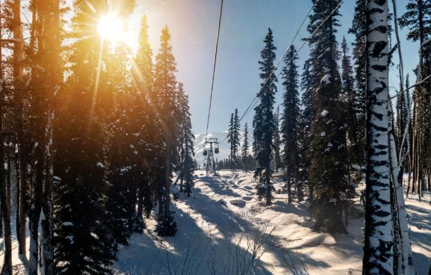 Feel Alive in Kashmir in Summer – 5 Nights / 6 Days Premium Tour Package