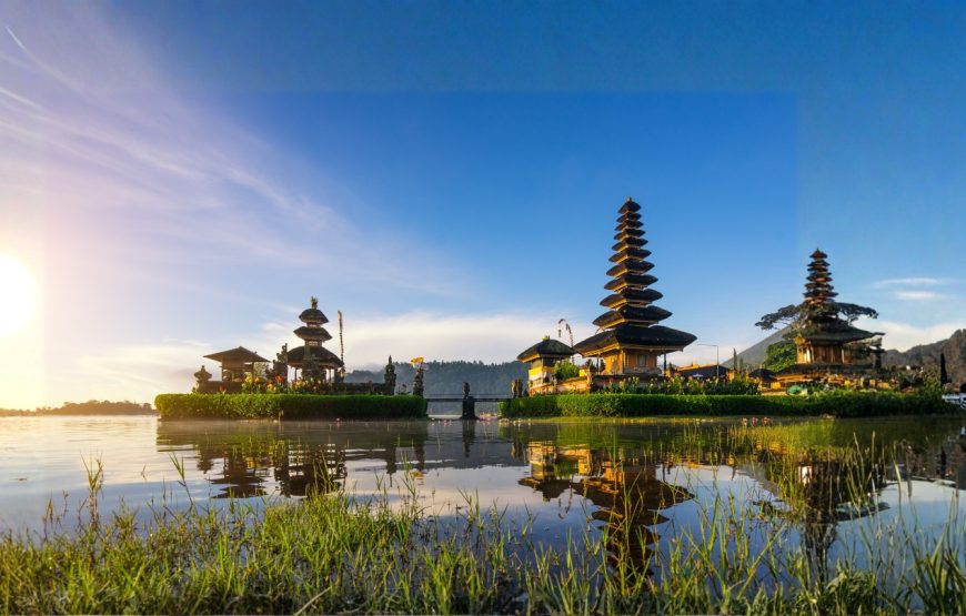 8N Bali Buzz Package
