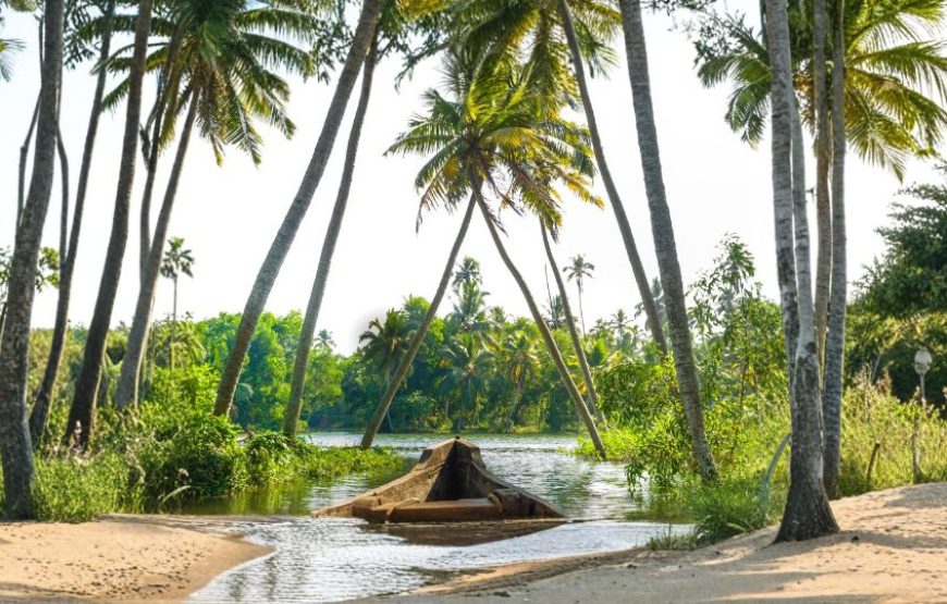 Serene Kerala Holidays