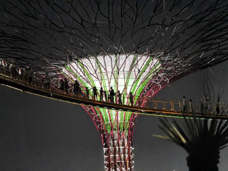 Singapore Romantic Retreat – Couple Special Tour Package
