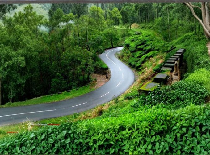 Kerala Green Trails – Scenic Hills, Wildlife & Backwaters Escape