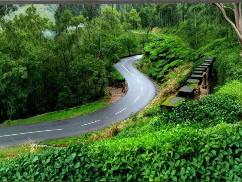 Kerala Green Trails – Scenic Hills, Wildlife & Backwaters Escape
