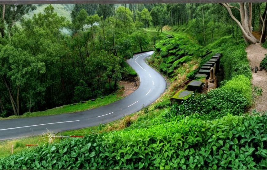 Short Trip to Kerala