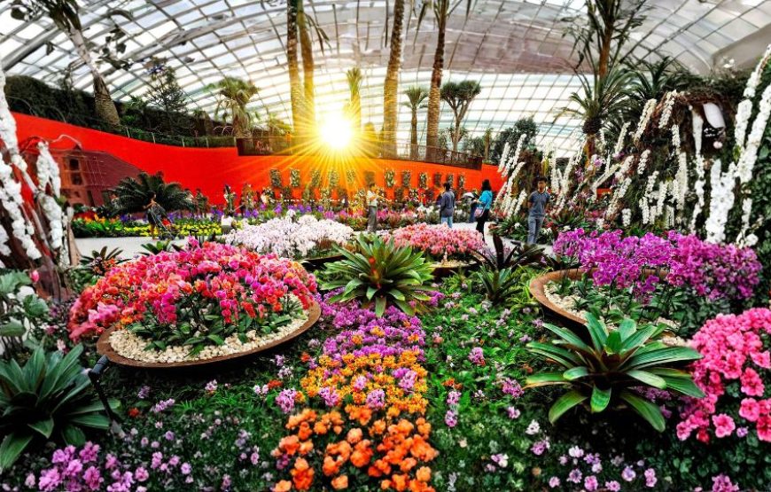 Singapore Adventures – AltitudeX Special
