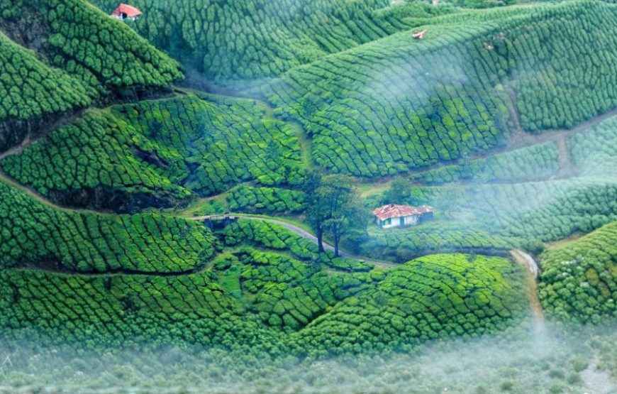 Shining Kerala Tour Package – 4 Nights / 5 Days