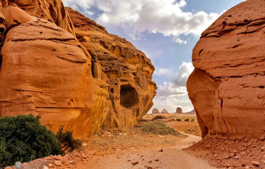 Riyadh and Red Sea Special