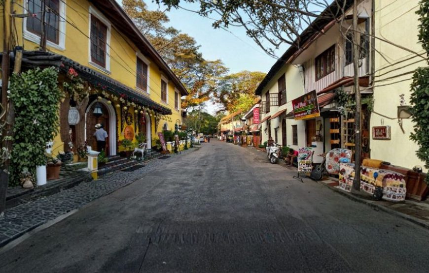 Kerala Green Trails – Scenic Hills, Wildlife & Backwaters Escape