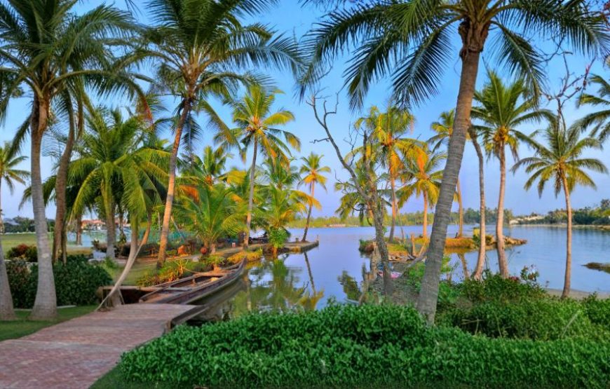 Kerala Green Trails – Scenic Hills, Wildlife & Backwaters Escape