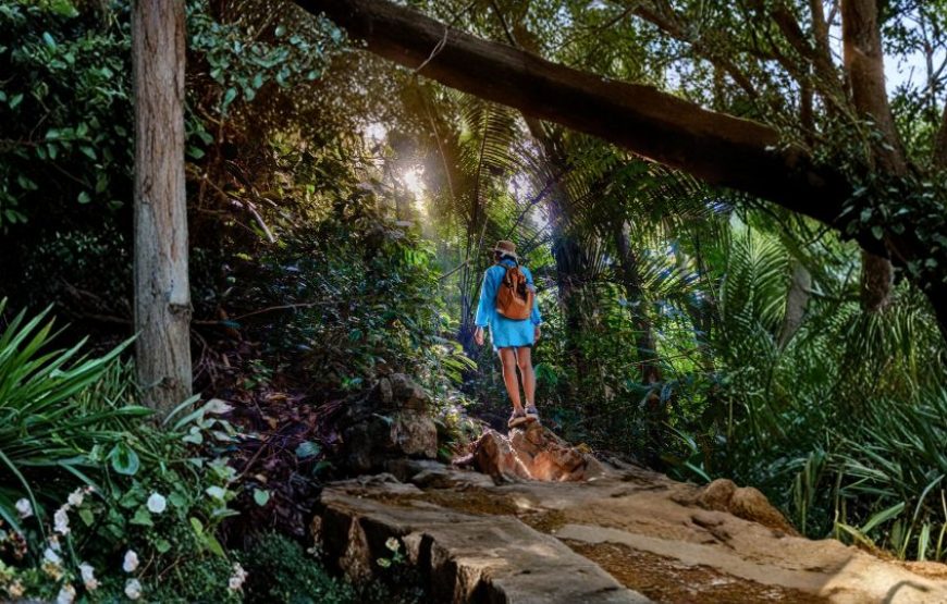 Best of Cambodia – 5 Nights / 6 Days