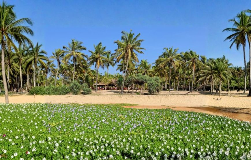 Incredible Kerala Holiday – Complete Itinerary
