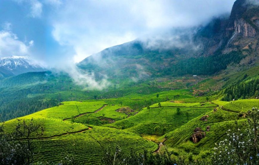 Kerala Hill & Backwater Tour Package