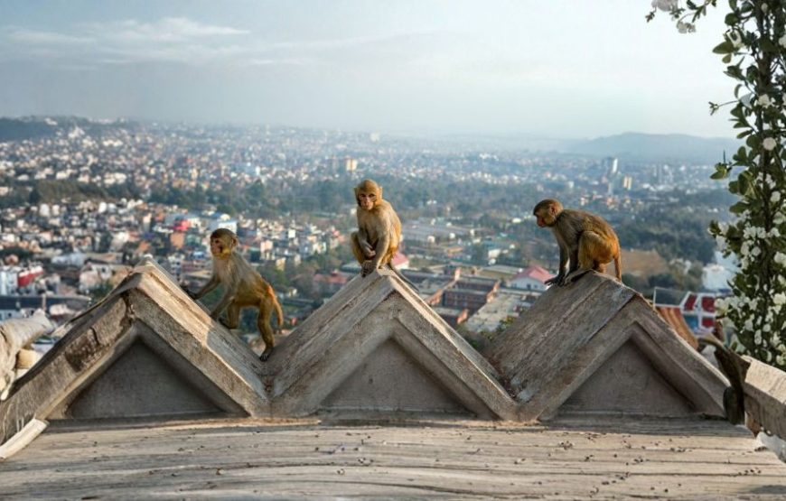 Land of Gods Nepal Tour