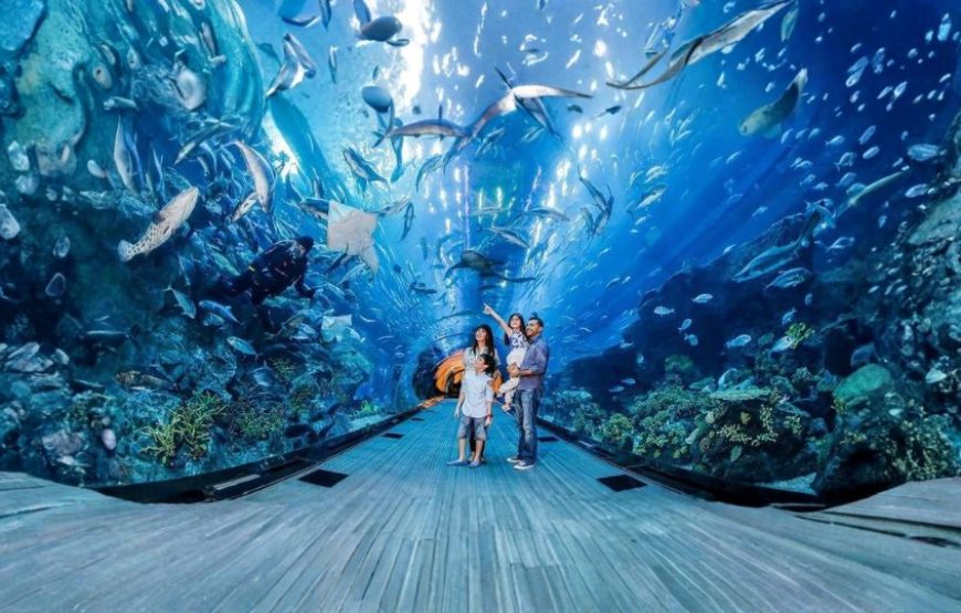 Majestic Dubai Tour Package