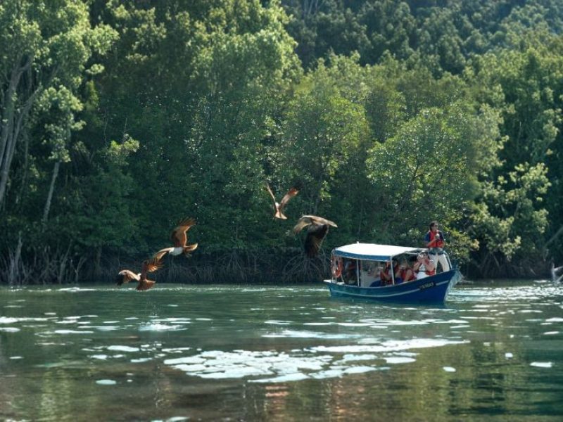 Dreamy Malaysia – 8 Nights / 9 Days