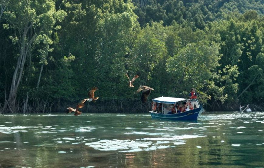 Malaysia Fun & Island Escape