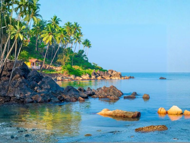 GOA NIGHTLIFE ESCAPE – 6N/7D TOUR PACKAGE