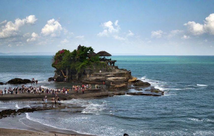 8N Bali Buzz Package