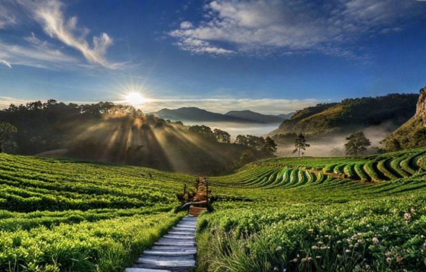 Magical Coorg Tour Package