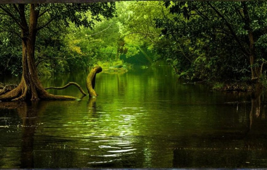 Adventures Coorg – Scenic Hill Escape