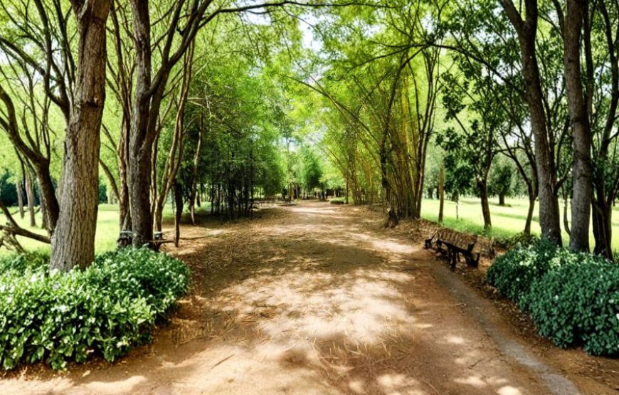 BEAUTY OF SOUTH INDIA – COMPLETE ITINERARY (Website Format)