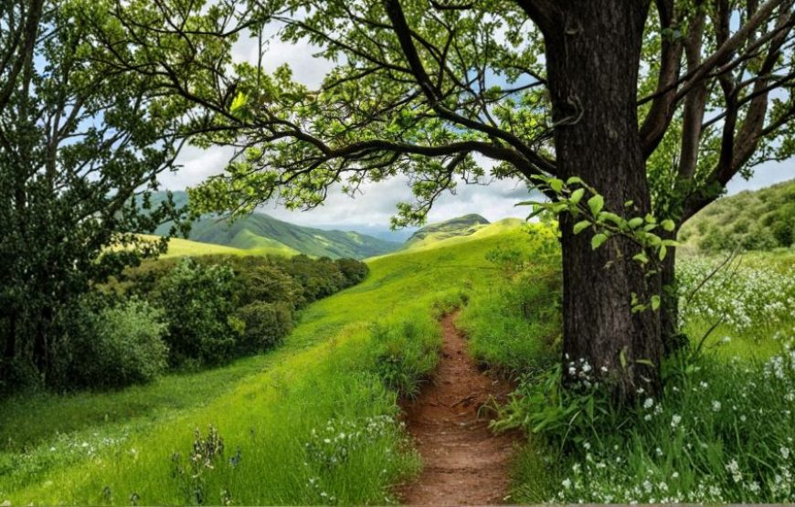 Enchanting Coorg Mysore Ooty Trip