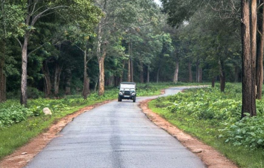 BEAUTY OF SOUTH INDIA – COMPLETE ITINERARY (Website Format)