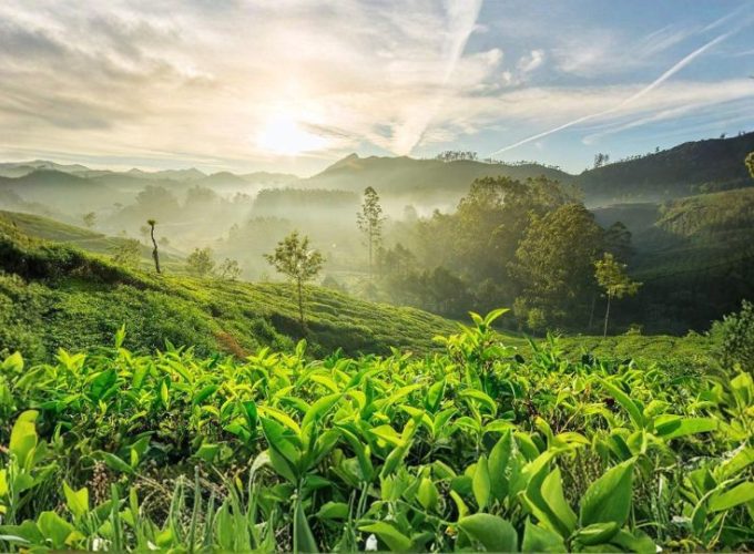 Ooty Hill Escape – 2 Nights / 3 Days