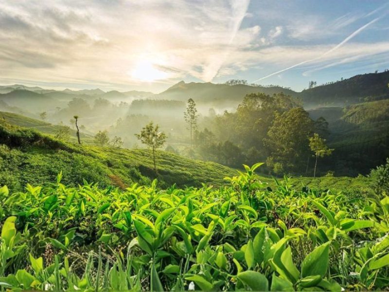 Ooty Hill Escape – 2 Nights / 3 Days