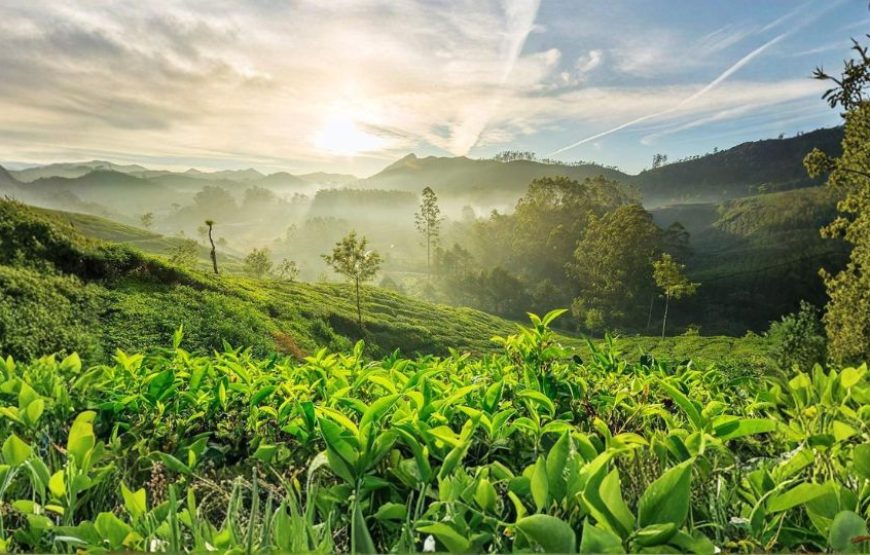 Beautiful South India Tour Package