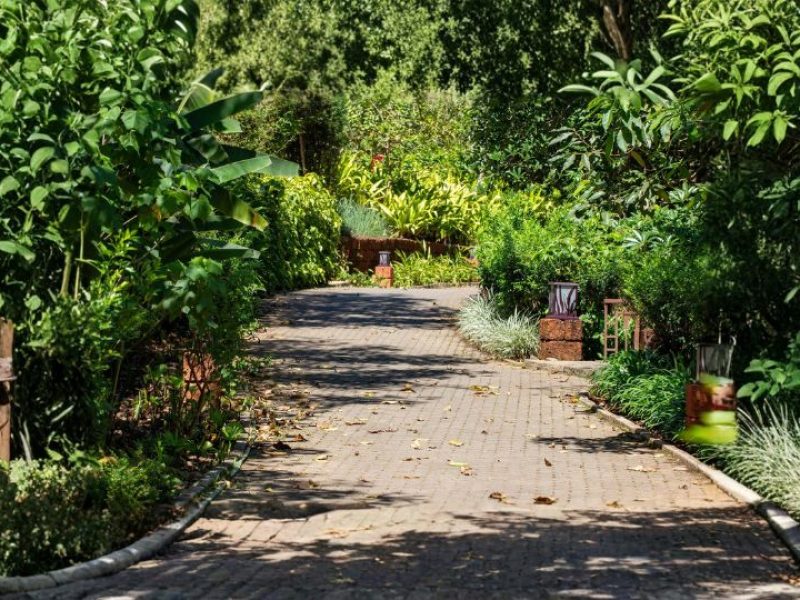 Enchanting South India Escape