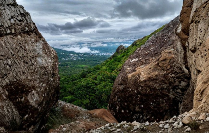 Scenic Beauty of South India – Coorg, Ooty & Mysore