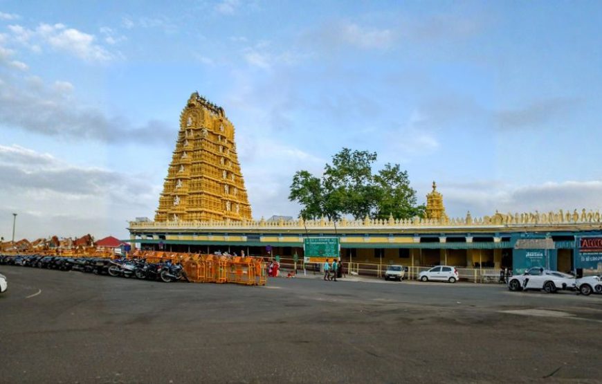 Honeymoon Trip to South India – Mysore, Coorg & Ooty Escape