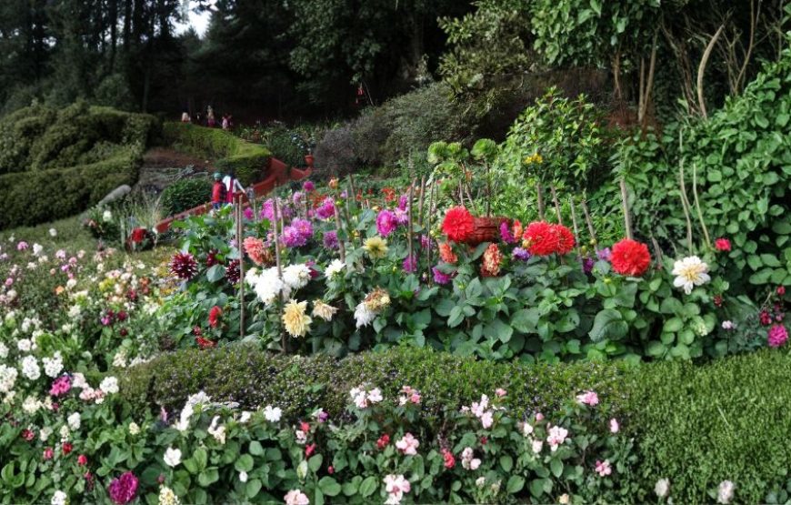 Ooty Hill Escape – 2 Nights / 3 Days