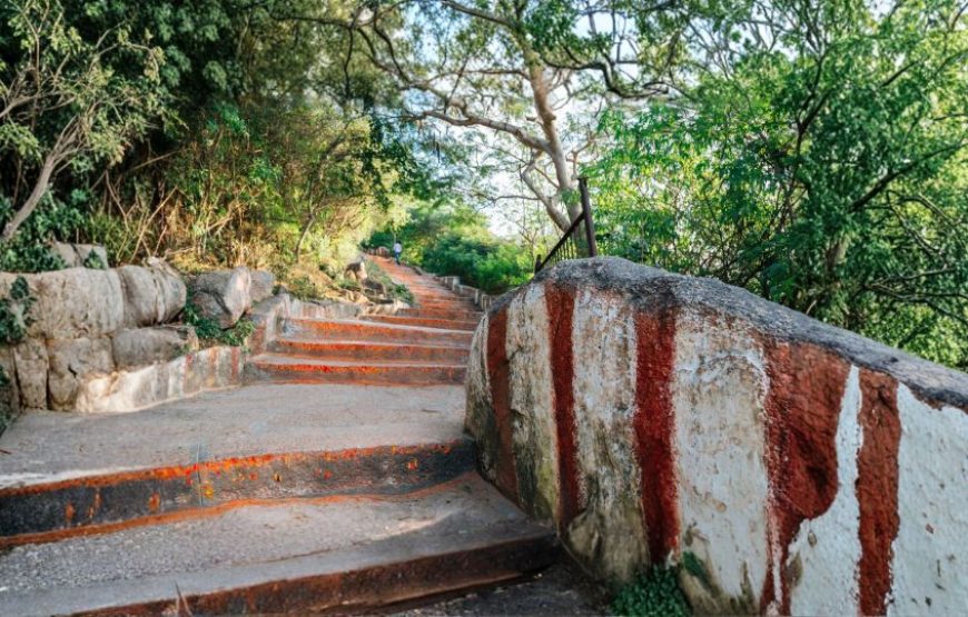 Enthralling South India – Ooty Getaway (3N/4D)