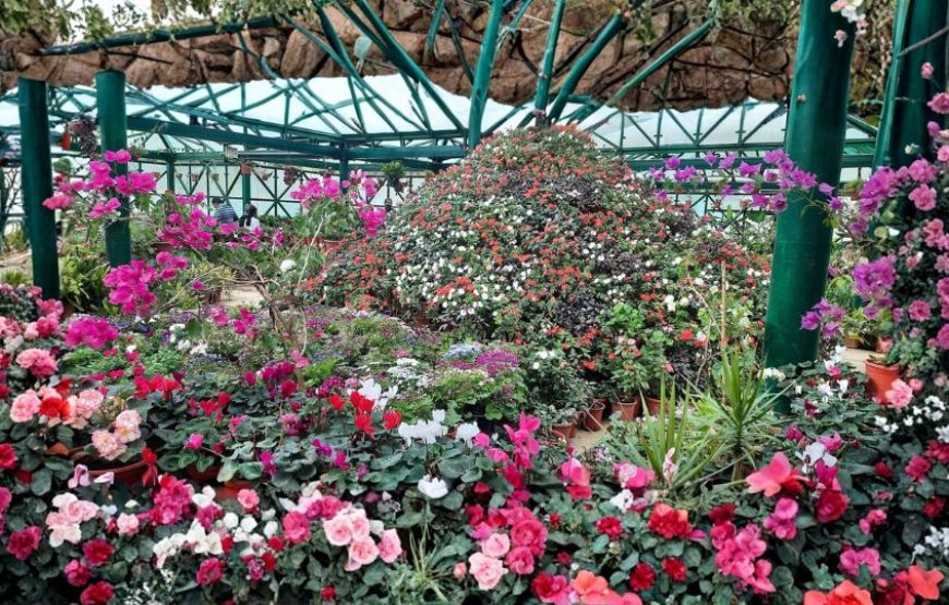 Enthralling South India – Ooty Getaway (3N/4D)