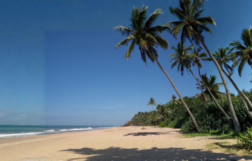 Sri Lanka Golden Sands Escape
