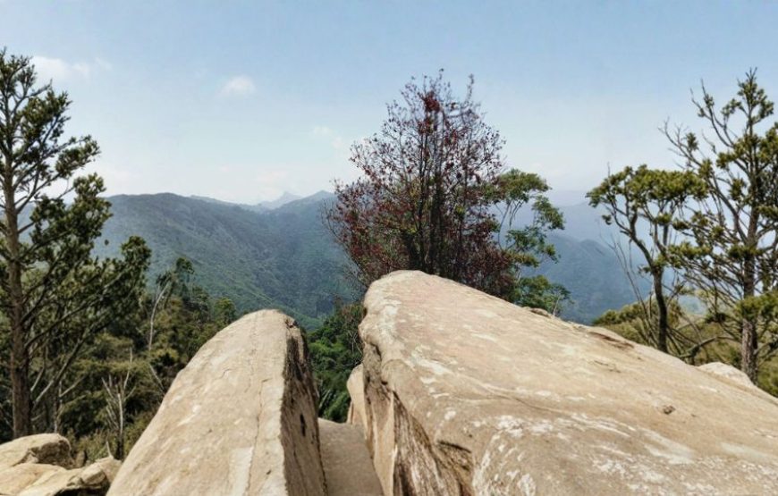 About Ooty – Nature, Culture & Tourism