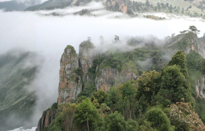 About Ooty – Nature, Culture & Tourism