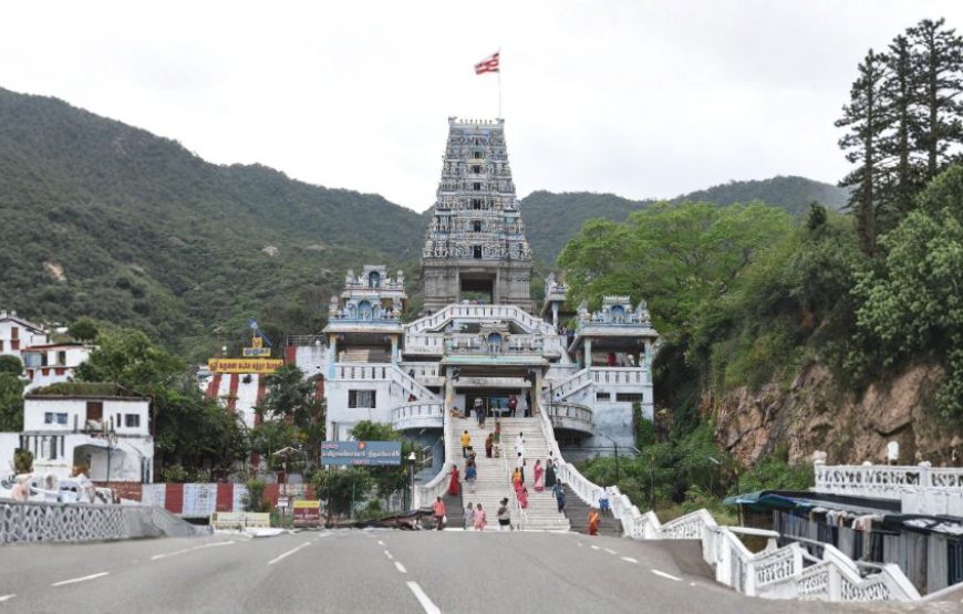 About Ooty – Nature, Culture & Tourism