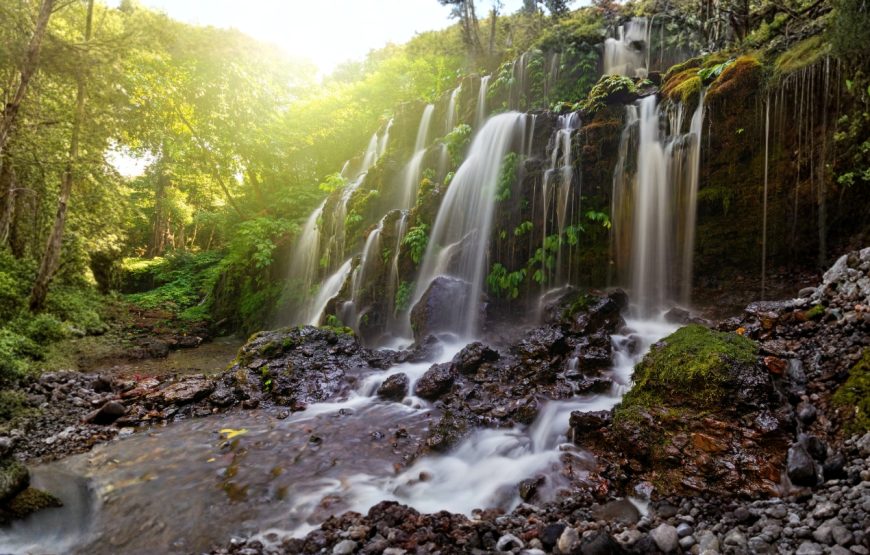 8N Bali Buzz Package